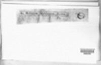 Lophodermium melaleucum image